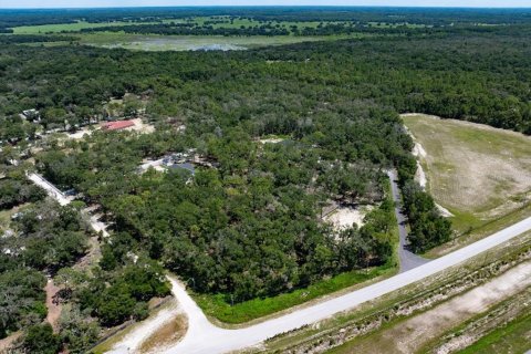 Land in Spring Hill, Florida № 1869531 - photo 12