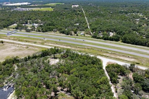 Land in Spring Hill, Florida № 1869531 - photo 18