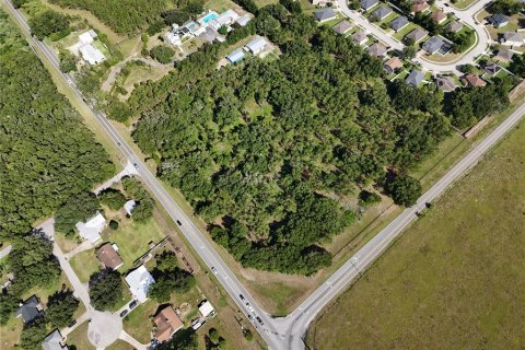 Immobilier commercial à Eustis, Floride № 2234812