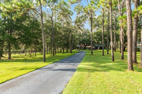 House in Summerfield, Florida 6 bedrooms, 447.7 sq.m. № 1887086 - photo 9