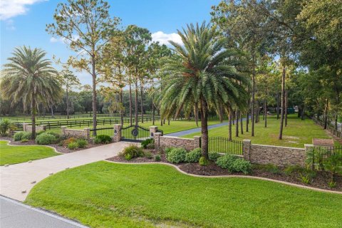 House in Summerfield, Florida 6 bedrooms, 447.7 sq.m. № 1887086 - photo 8