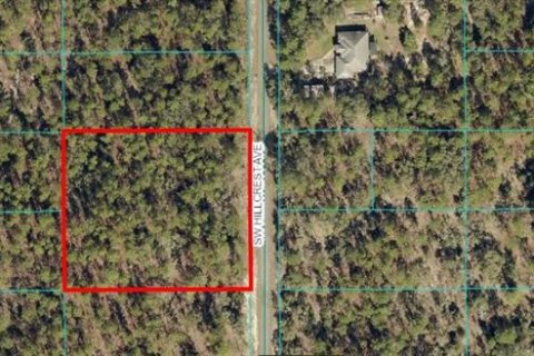 Terrain à vendre à Dunnellon, Floride № 1744884 - photo 4