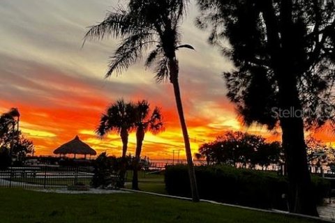 Villa ou maison à vendre à Tarpon Springs, Floride: 4 chambres, 222.32 m2 № 1522036 - photo 7