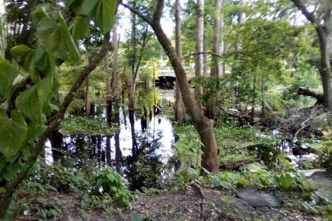 Terreno en venta en New Port Richey, Florida № 1877054 - foto 6