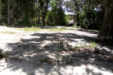 Terreno en venta en New Port Richey, Florida № 1877054 - foto 14