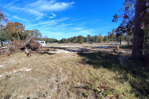 Terreno en venta en Hudson, Florida № 1523149 - foto 7