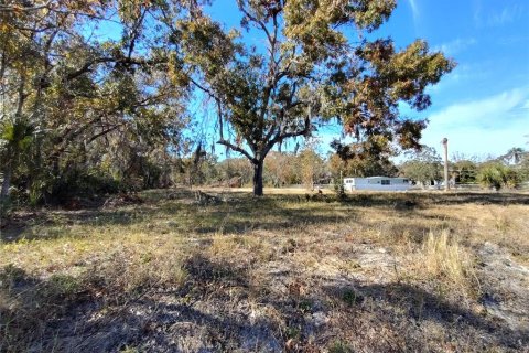 Terreno en venta en Hudson, Florida № 1523149 - foto 5