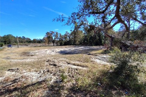 Terreno en venta en Hudson, Florida № 1523149 - foto 6