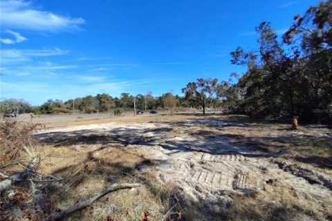 Terreno en venta en Hudson, Florida № 1523149 - foto 8