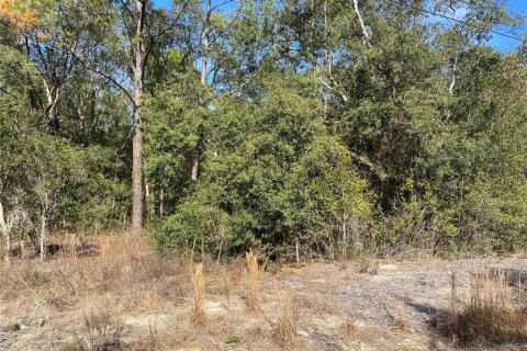 Land in Dunnellon, Florida № 2162289