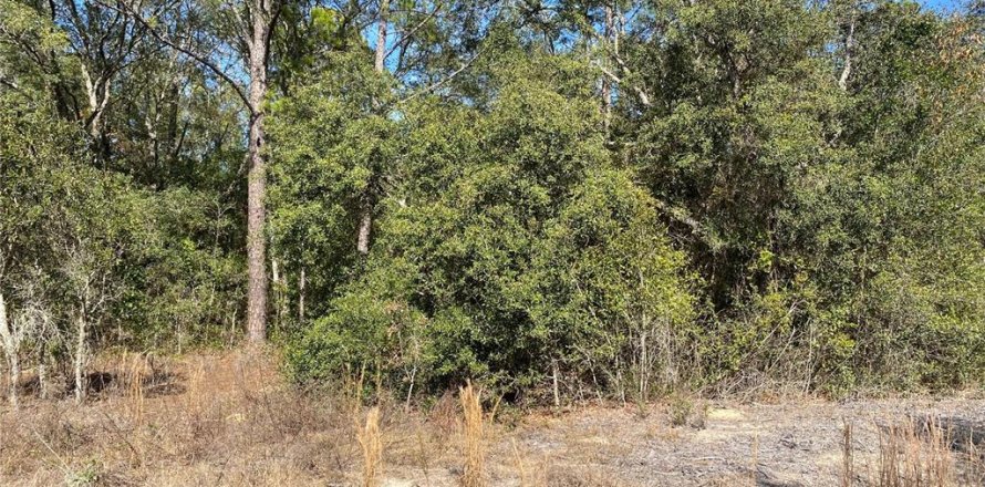 Land in Dunnellon, Florida № 2162289