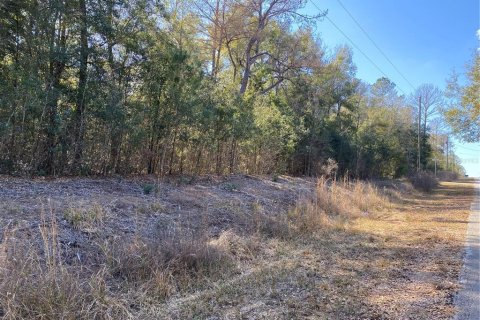 Land in Dunnellon, Florida № 2162289 - photo 3