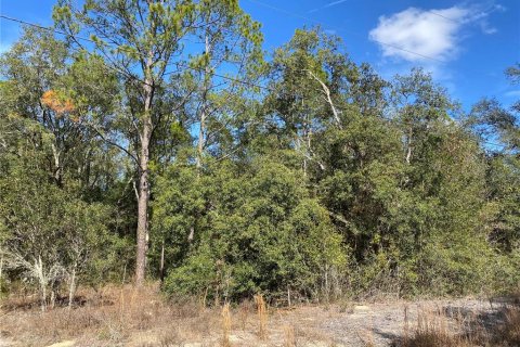 Land in Dunnellon, Florida № 2162289 - photo 6