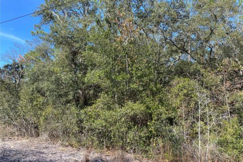 Land in Dunnellon, Florida № 2162289 - photo 2