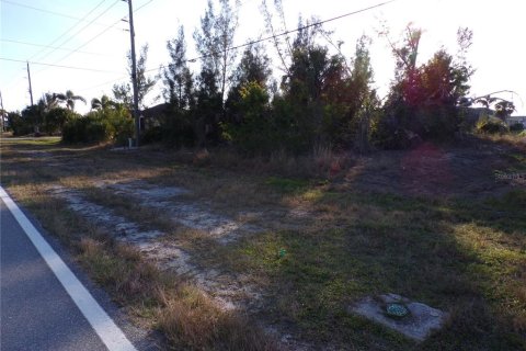 Terreno en venta en Port Charlotte, Florida № 1745198 - foto 11