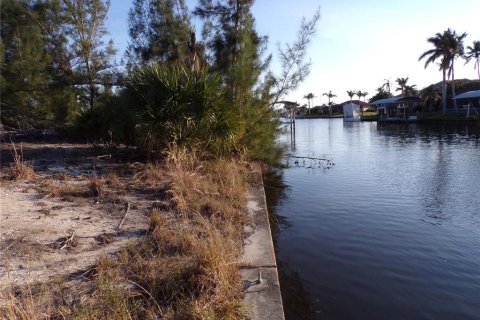 Terreno en venta en Port Charlotte, Florida № 1745198 - foto 12