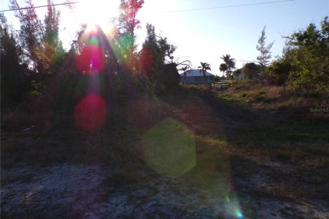 Terreno en venta en Port Charlotte, Florida № 1745198 - foto 9