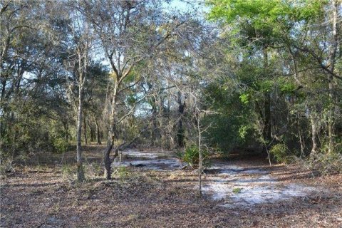 Terrain à Hudson, Floride № 2158766