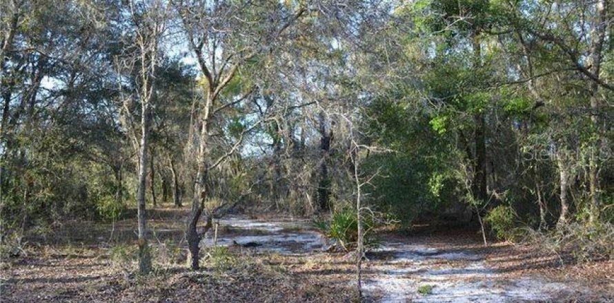 Terrain à Hudson, Floride № 2158766