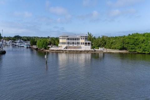 Villa ou maison à vendre à Key Largo, Floride: 6 chambres, 475.01 m2 № 1989498 - photo 3