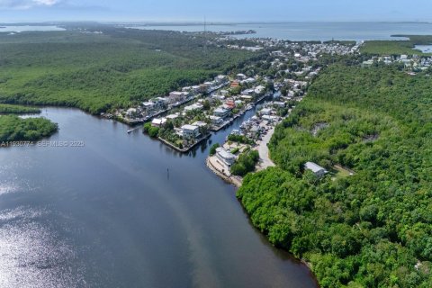 Villa ou maison à vendre à Key Largo, Floride: 6 chambres, 475.01 m2 № 1989498 - photo 26