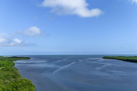 Villa ou maison à vendre à Key Largo, Floride: 6 chambres, 475.01 m2 № 1989498 - photo 25