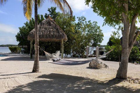 Villa ou maison à vendre à Key Largo, Floride: 6 chambres, 475.01 m2 № 1989498 - photo 19