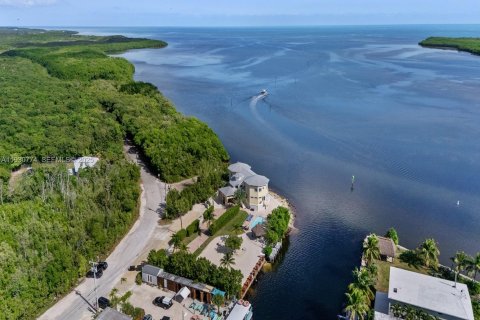 Villa ou maison à vendre à Key Largo, Floride: 6 chambres, 475.01 m2 № 1989498 - photo 23