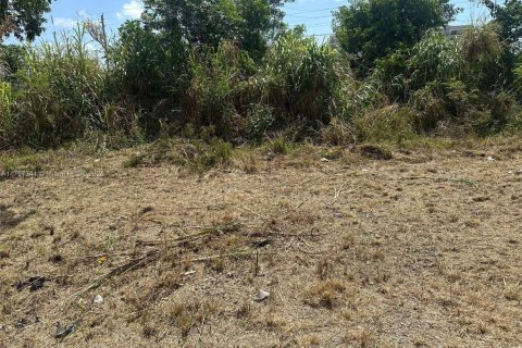 Terrain à vendre à Miami, Floride № 1936966 - photo 2