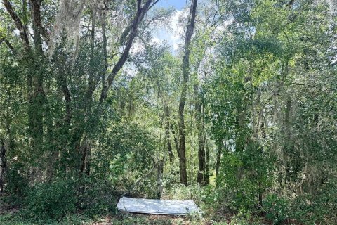 Terrain à Citrus Springs, Floride № 2197375