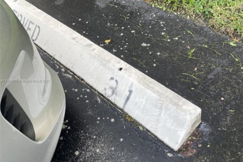 Снять в аренду кондоминиум в Санрайз, Флорида 2 спальни, 78.97м2, № 1944792 - фото 21