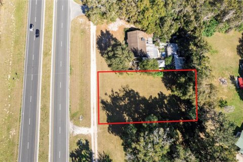 Land in Oxford, Florida № 1296064 - photo 5