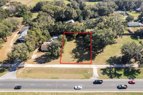 Land in Oxford, Florida № 1296064 - photo 4
