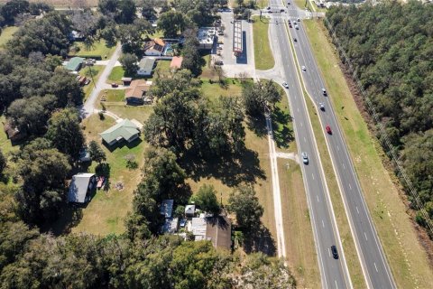 Land in Oxford, Florida № 1296064 - photo 8