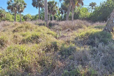 Terreno en Port Charlotte, Florida № 2195551