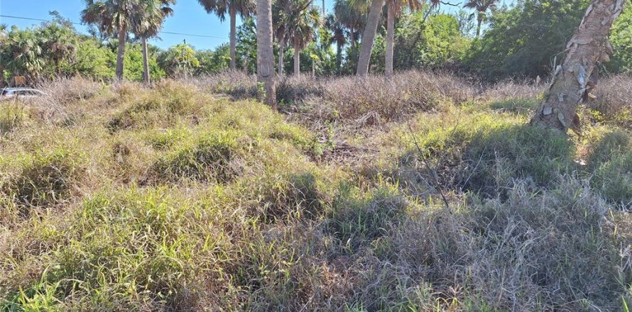 Terrain à Port Charlotte, Floride № 2195551