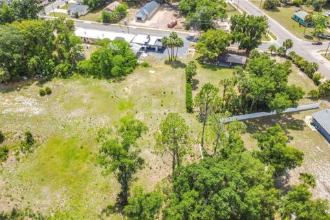 Commercial property in Eustis, Florida 74.97 sq.m. № 2211786 - photo 10