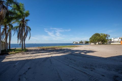 Land in Palm Harbor, Florida № 861340 - photo 6