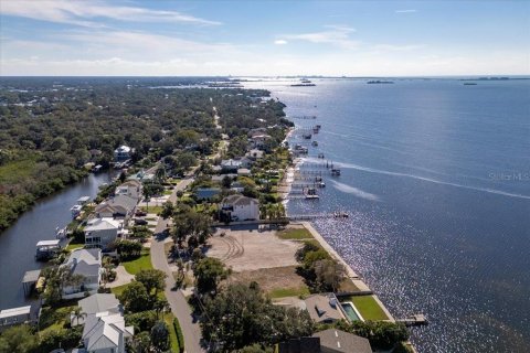 Land in Palm Harbor, Florida № 861340 - photo 11