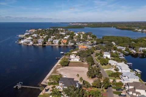 Land in Palm Harbor, Florida № 861340 - photo 2