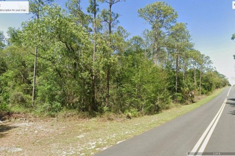 Terreno en Dunnellon, Florida № 2228770