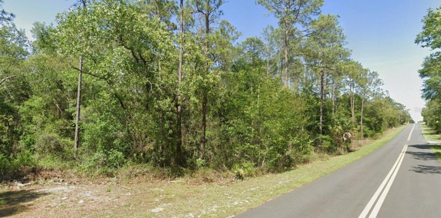 Terrain à Dunnellon, Floride № 2228770