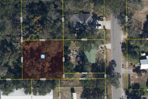 Land in Zellwood, Florida № 2162853