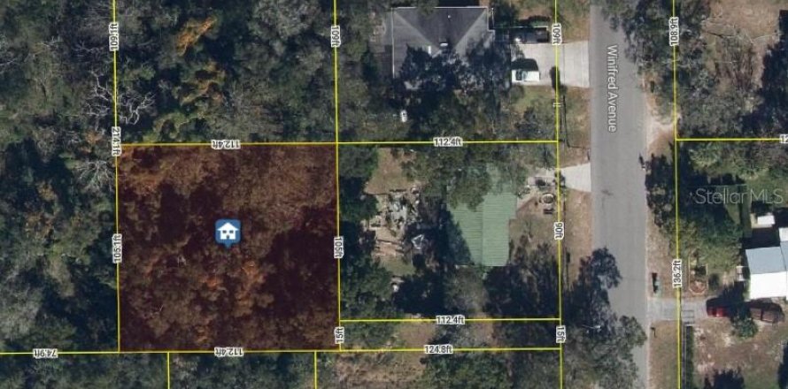 Land in Zellwood, Florida № 2162853