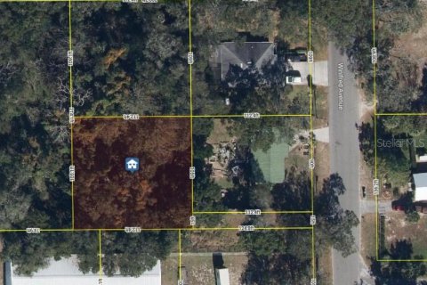 Land in Zellwood, Florida № 2162853 - photo 2