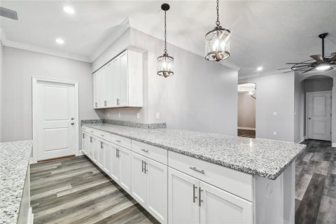 Villa ou maison à vendre à Plant City, Floride: 4 chambres, 236.16 m2 № 1721021 - photo 24