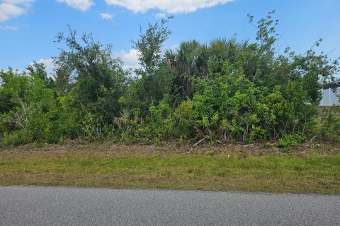 Land in Port Charlotte, Florida № 2163114