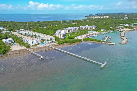 Condominio en alquiler en Islamorada, Village of Islands, Florida, 2 dormitorios, 92.9 m2 № 2085471 - foto 26