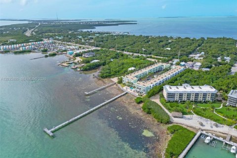 Condominio en alquiler en Islamorada, Village of Islands, Florida, 2 dormitorios, 92.9 m2 № 2085471 - foto 24