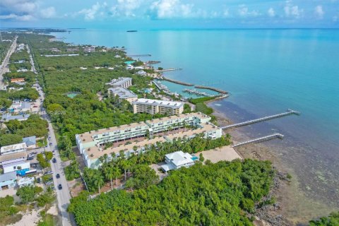 Condominio en alquiler en Islamorada, Village of Islands, Florida, 2 dormitorios, 92.9 m2 № 2085471 - foto 27
